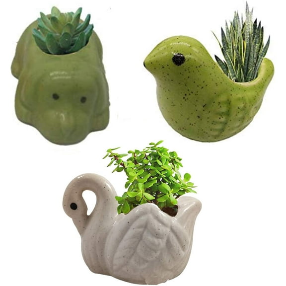 India Meets India Ceramic Flower Pot Planter Plant Pot Indoor Planter Handicraft by Awarded Indian Artisan (Bird, Turtle and Dog (Set of 3))
