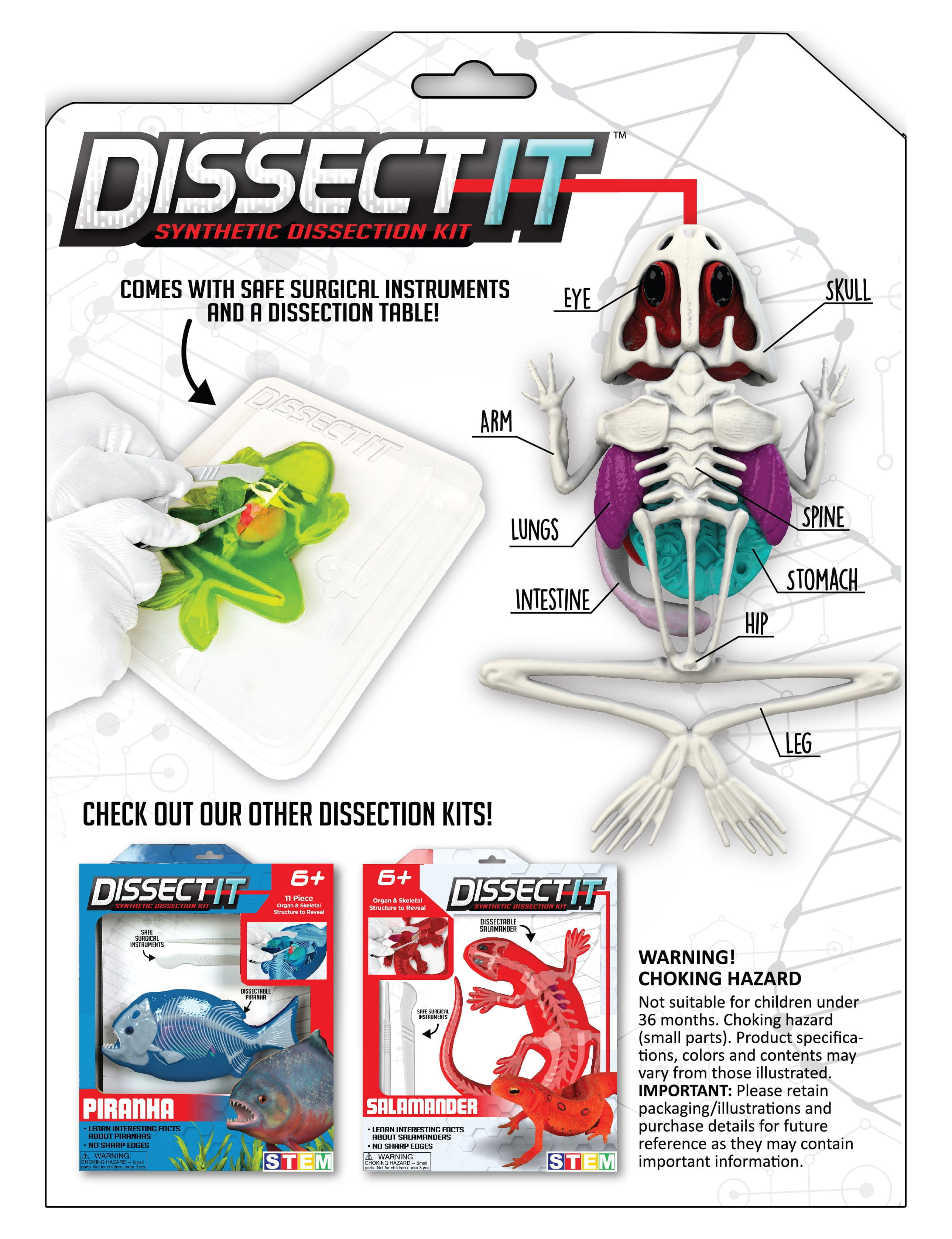 Top Secret Toys DissectIt Simulated Synthetic Lab Dissection Frog, Stem Projects for Child Ages 6+, (图2)
