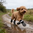 thumbnail image 5 of Non Slip Dog Socks, Dog Sock to Prevent Licking Paw for Senior Dogs, Dog Shoes for Hardwood Floors and Enhancing Traction, Paw Protector, 5 of 6