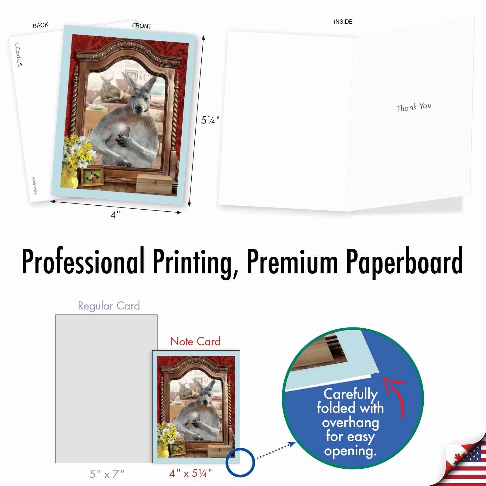 The Best Card Company 36 Assorted Thank You Notecards Bulk Box Set 4 x 5.12 Inch with Envelopes (6 Designs, 6 Each) Animal Attractions AM7801TYG-B6x6