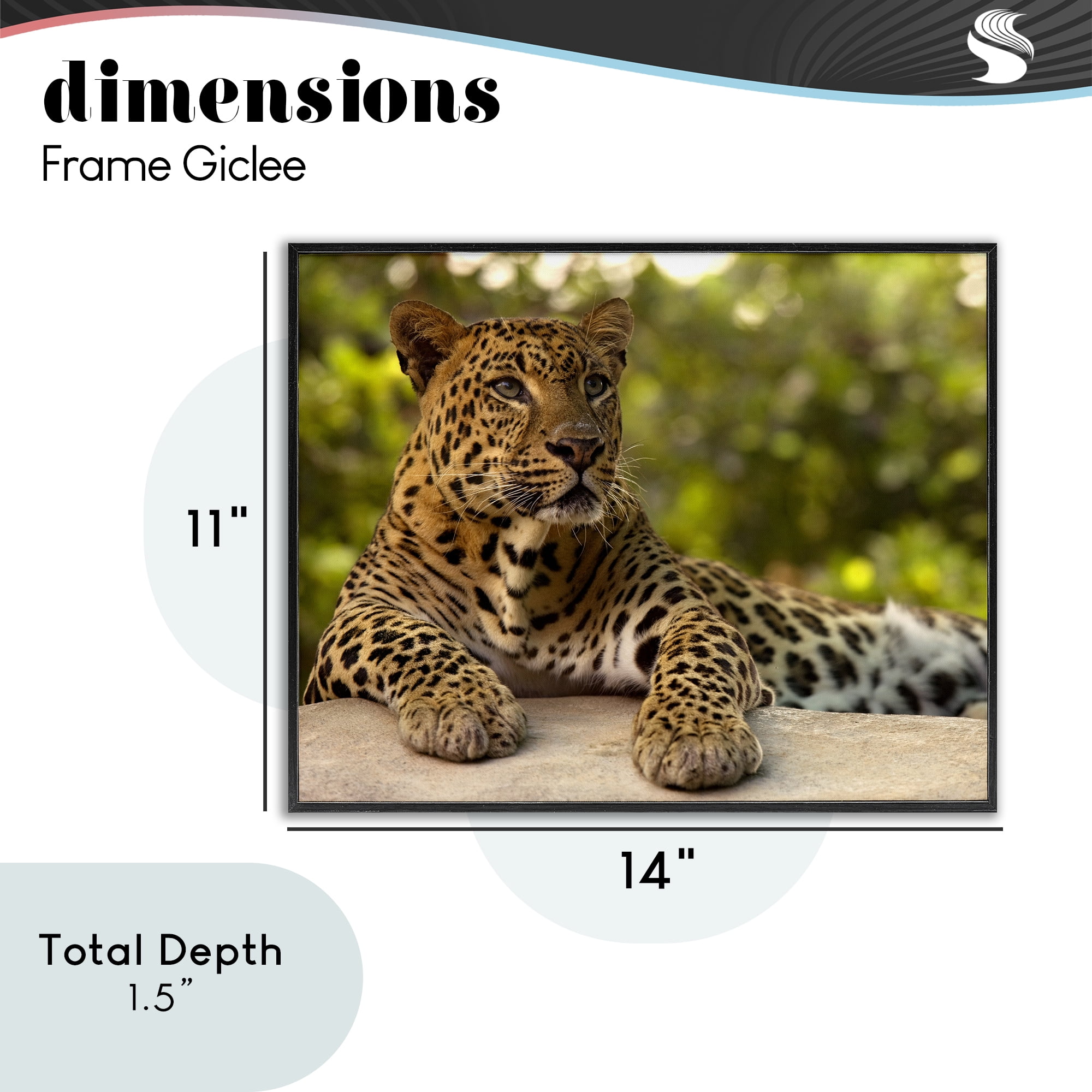 Leopard Gazing Relaxation Black Framed Giclee Art, design by MJ Photography