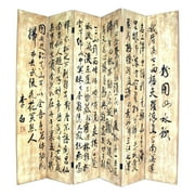 Wayborn Hand Painted Chinese Writing Room Divider