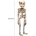 thumbnail image 7 of 3D Skeleton Magnets for Fridge,Unique Funny Full Body Skeleton Fridge Magnets with Movable Joints for Kitchen, Office and Locker Halloween Decoration (White), 7 of 7