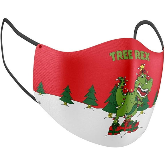 Christmas Face Mask Double Layer Reusable Cloth Holiday Season Masks