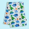 thumbnail image 5 of Wildkin Kids Plush Velour Throw Blanket for Girls and Boys (Dinosaur Land Blue), 5 of 6