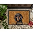thumbnail image 3 of Carolines Treasures SC9139JMAT Dachshund Door Mat Indoor Rug or Outdoor Welcome Mat 24x36 Doormat 36"L x 24"W multicolor, 3 of 4