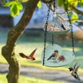 thumbnail image 5 of Gumesh Double Heart Shaped Bird Feeder, Outdoor Hanging Bird Feeder, Water Feeder, Hanging Dual Purpose Bird Feeder, Planter Hanger for Garden Yard Hummingbird Feeders for Outdoors, 5 of 6
