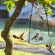 thumbnail image 5 of Comedero Colgante para Pájaros de Doble Capa para Exteriores | Comedero Doble para Agua y Semillas | Comedero Colgante Duradero y Fácil de Instalar para Observar Aves En El Jardín, Balcón o Patio., 5 of 6