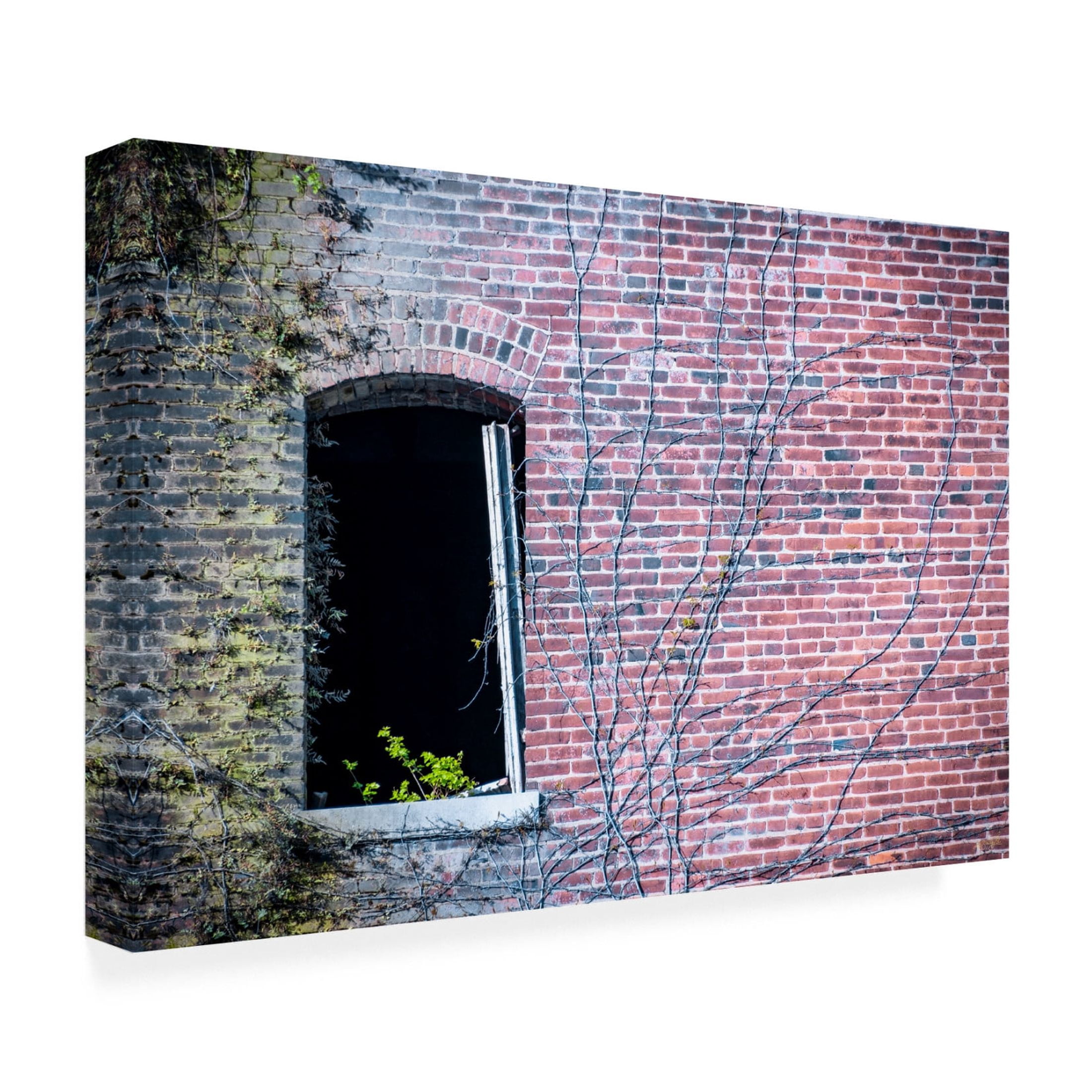 Canvas Wall Art - Life BeautifuLEE 'The Old Places' Wall Art for Living Room, Bedroom, or Office Décor by Trademark Fine Art - 32 x 22 Inches