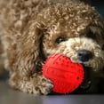 dog-squeaky-balls-toys-for-aggressive-chewers-large-breed-balls