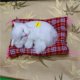 thumbnail image 1 of Un gato simulado llamará a un gato dormido, almohadilla de tela, regalo para gatos, manualidades para gatos, juguetes, adornos para autos, 1 of 6