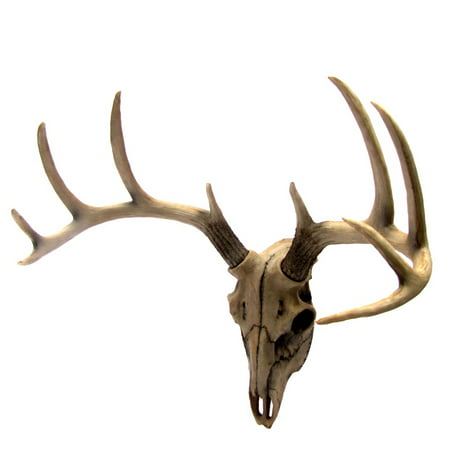 Buck Head Wall Mount Resin Deer Skull Antler Rack Bust Hunting Cabin/Lodge (Best Way To Skull Mount A Deer)