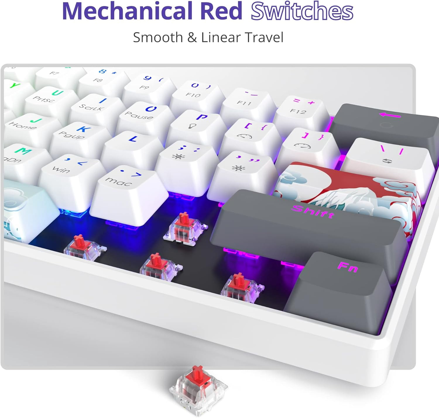 60% Mechanical Keyboard 61-Key Wired Gaming Keyboard with Red RGB Lighting Effect PBT Keycaps Ultra-Compact Mini Keyboard Suitable for Win/(61 White)