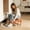Orange, variant on Specollect 1 Pcs Swivel Wheel Stool Low Seating for Living Room Mobile Seat with Casters Movable