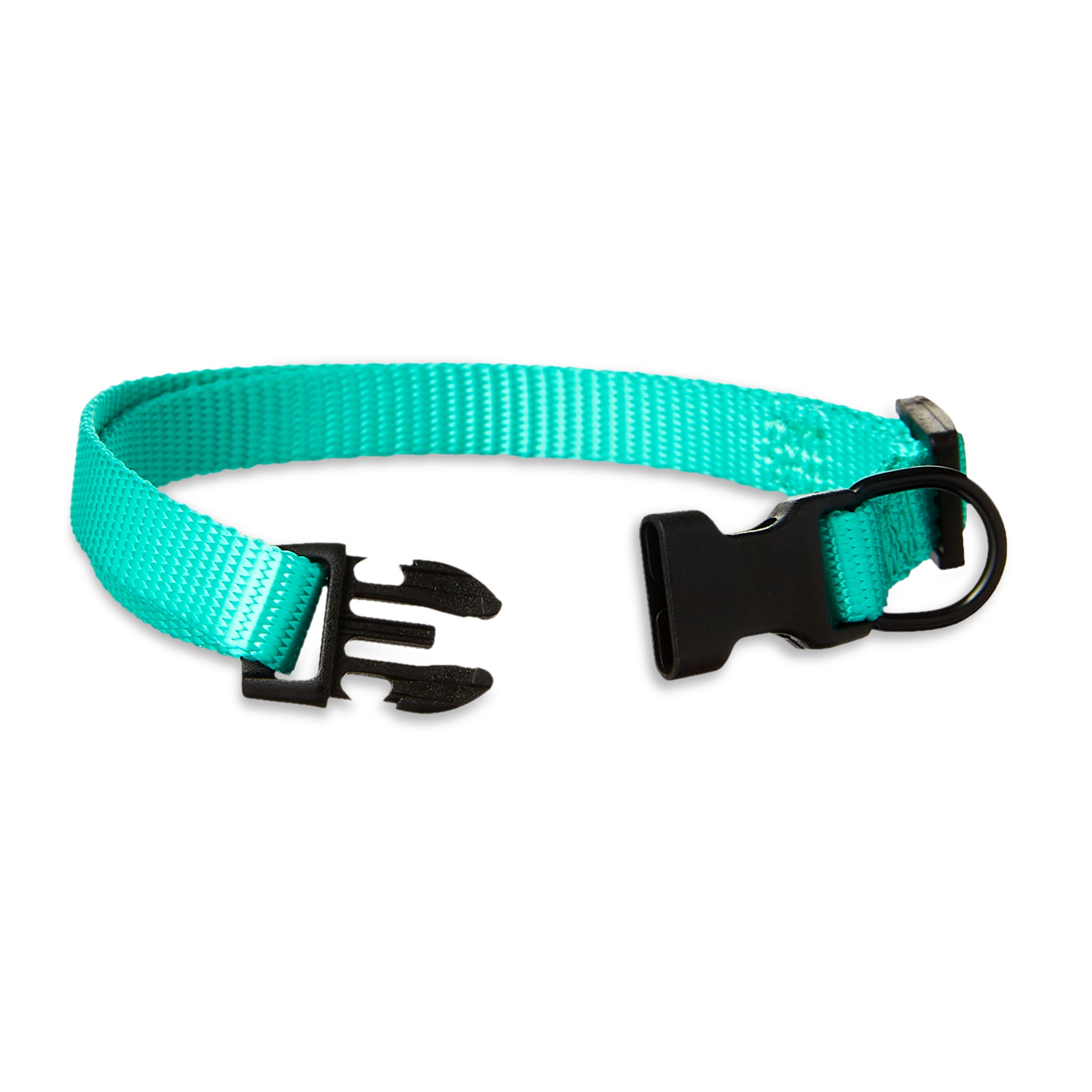 Vibrant Life Polyester Adjustable Dog Collar, Teal, S