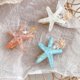 thumbnail image 4 of Shell Pearl Starfish Hair Clip Set para mujeres niñas, Princess Hair Clips, Alligator Hair Clips, Ladies and Girls Headwear Styling Tools Hair Accessories-4pcs Adepaton WMPH-1004, 4 of 5