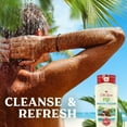 thumbnail image 6 of (4 pack) Old Spice Body Wash for Men Fiji with Palm Tree Scent, 18 fl oz, 6 of 14