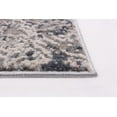 thumbnail image 2 of Tapis ECARPET Phoenix Gris, 2 of 9