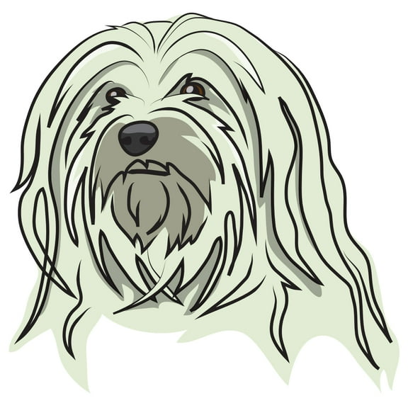 Havanese Decal | Indoor/Outdoor | Dog Lover Super Cute Sticker for SUV Windows, Dorm Rooms, Bedroom, Offices | SignMission personalized gift | 12"