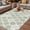 Green, variant on Sage Green Geometric Outdoor Rug for Patio/Deck/Porch, Non-Slip Large Area Rug 4 x 6 Ft, Moroccan Chic Abstract Plaid Art Indoor Outdoor Rugs Washable Area Rugs, Reversible Camping Rug Carpet Runner