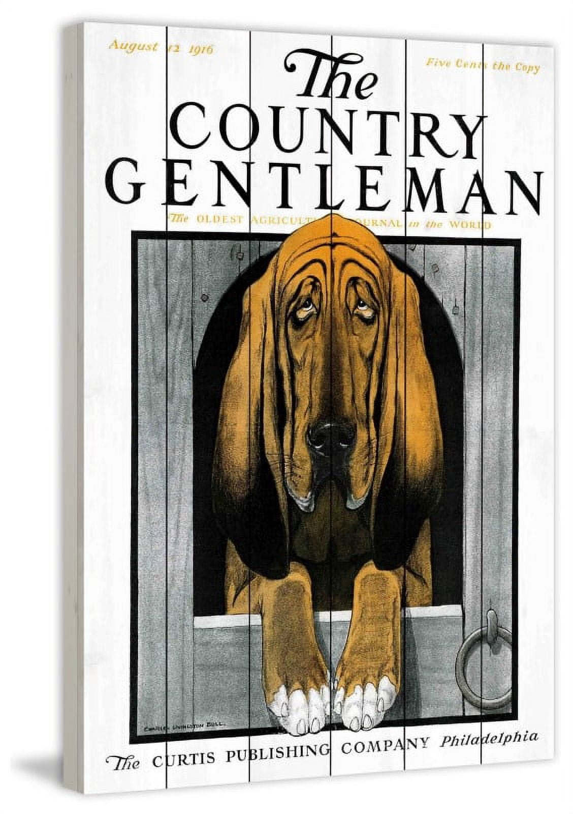 Marmont Hill "CD Dog 2" Painting Print on White Wood