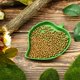 thumbnail image 2 of 2 piezas hoja reptil comida agua plato plato para tortuga maíz serpiente arrastre mascota beber y comer, 2 tamaños Namotu DCF197, 2 of 7