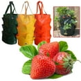 thumbnail image 1 of Plastic Planter Bag Flower Herb Strawberry Hanging Planter Growth Bag Pouch, 1 of 6
