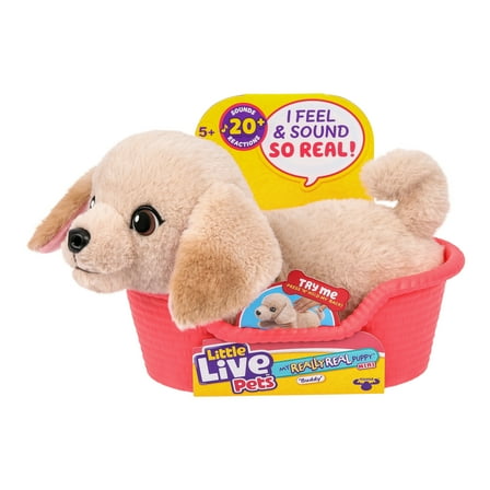 Little Live Pets My Really Real Puppy Minis Buddy the Retriever Interactive Puppy with 20  Sounds & Reactions Ages 5 