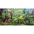 thumbnail image 3 of Pangea Images 18x11 Black Modern Framed Museum Art Print Titled - Palm and fern forest, Hawaii (detail), 3 of 5
