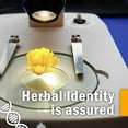 thumbnail image 6 of HERB PHARM, 6 of 9