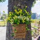 thumbnail image 4 of Coronas de Primavera para la Cesta Colgante de la Flor de la Baya de la Puerta Delantera, Corona de 35 cm para la Decoración Del Hogar Interior Al Aire Libre Señal de Boda Decoraciones de Primavera Pa, 4 of 6