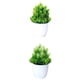 thumbnail image 1 of Conjunto De 2 Plantas De Realistas De Simulación Jardín Realistas Para Oficina Gloria Plantas de bonsai en maceta, 1 of 9