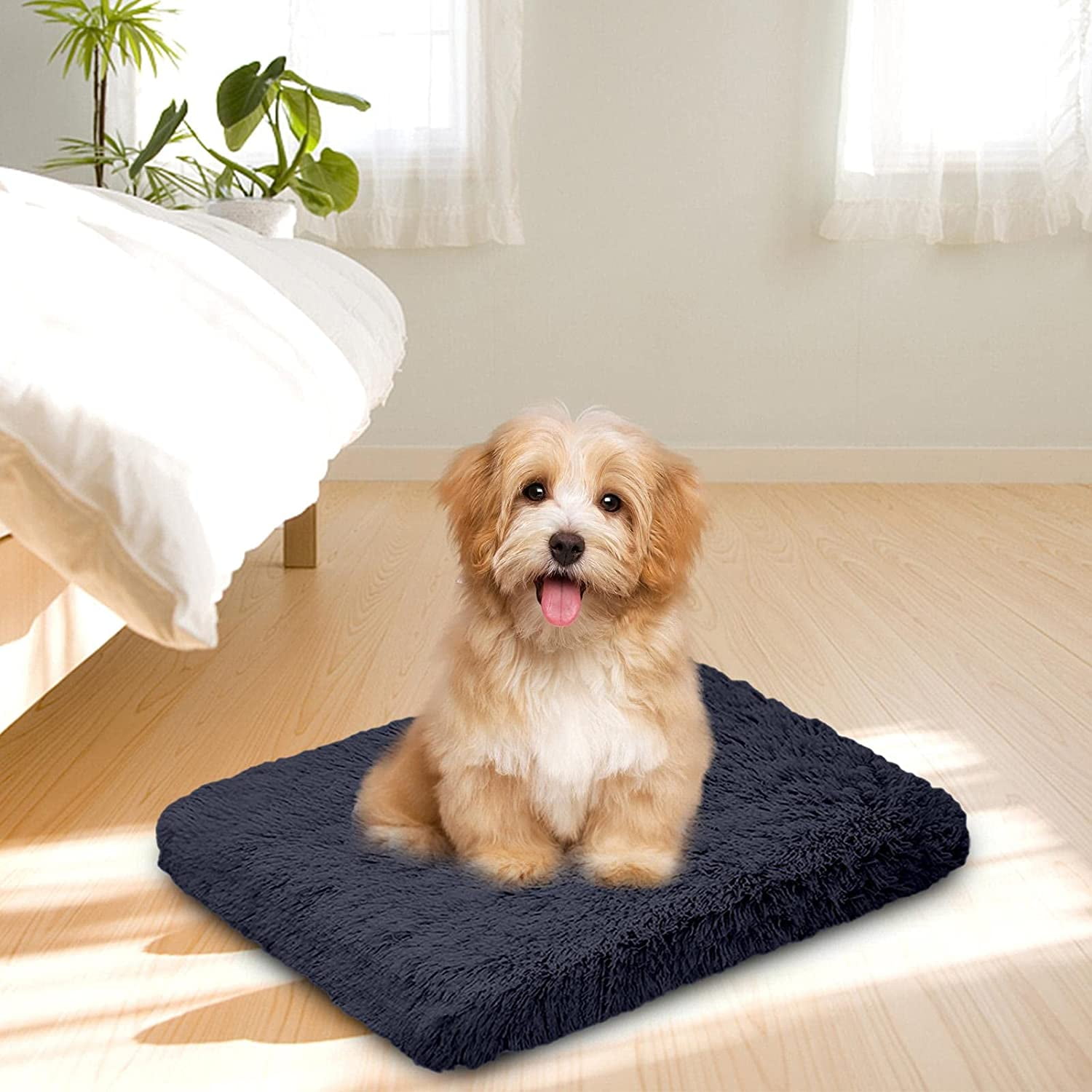 Cuddle blanket for dogs sale