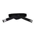 thumbnail image 2 of Mizuno Silver Label Black Belt -  IJF approved, 2 of 4