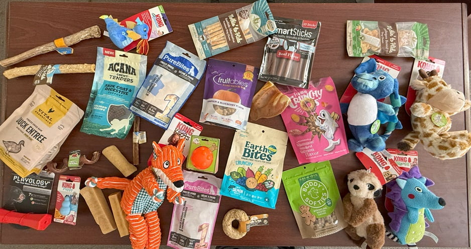 BigDog Canine Box, Treats and Toy Box, Large Dogs