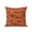 Burnt Orange, variant on 1 Pack Outdoor Throw Pillow, Western Cowboys Waterproof Pillow with Insert Included, Dark Brown Retro Country Desert Horse Decorative Accent Cushion Sofa Pillows for Patio Porch, 18 x 18 In