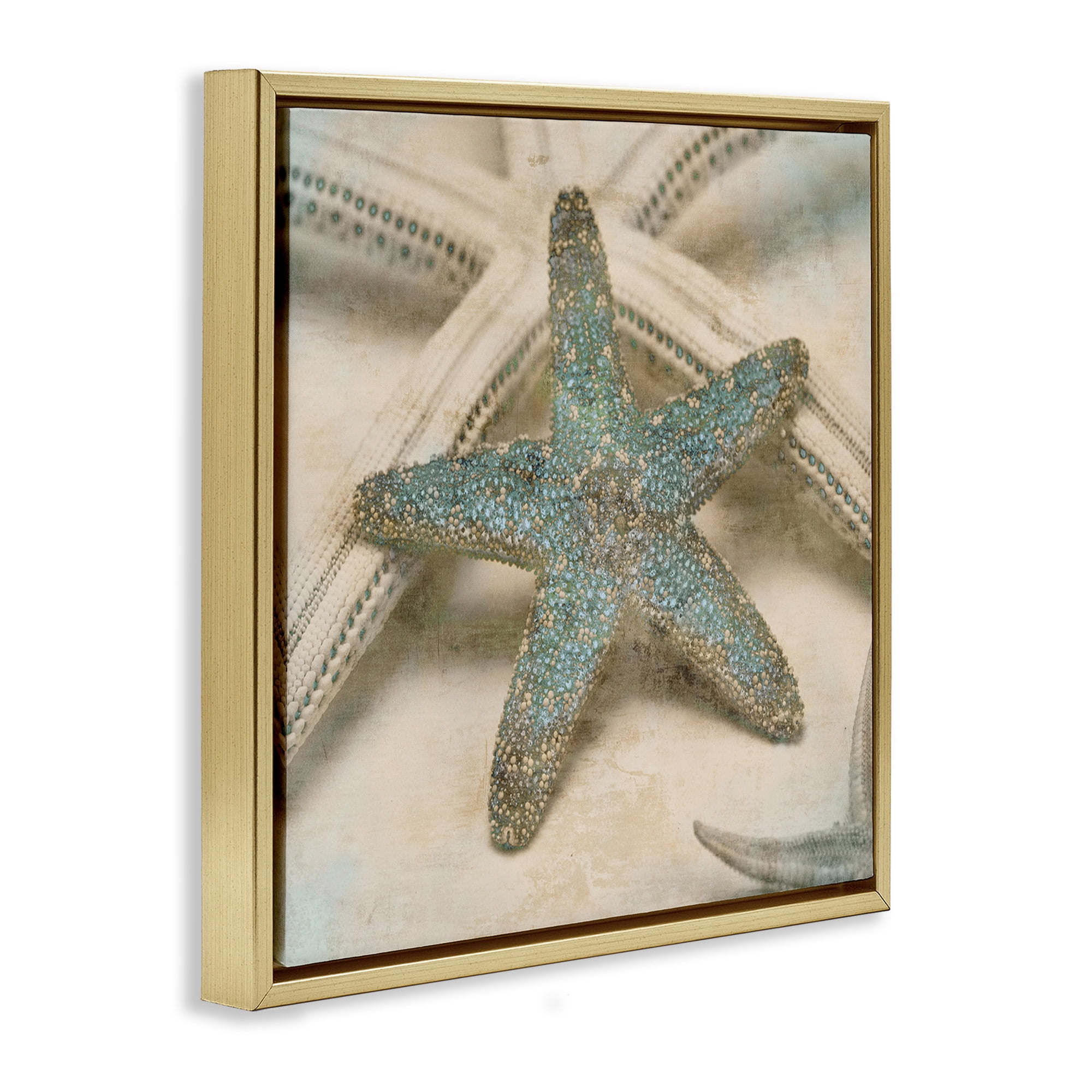 Stupell Industries Distressed Texture Starfish Nature Photography Gold Floater Framed Canvas Art Print Wall Art, 25 x 25