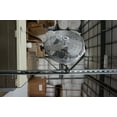 thumbnail image 6 of TPI Workstation Fans, Wall-Mount, 12" Blade Diameter, 1/12 Hp, 6 of 16