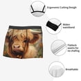 thumbnail image 3 of Balery Cute Floral Cow Calzoncillos bóxer para hombre, ropa interior de algodón suave y transpirable con cinturilla de nailon-Small, 3 of 5