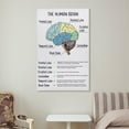 thumbnail image 4 of The Human Brain Poster, Brain And Behavior, Anatomy & Psychology, Mental Health, Therapy Office Decor, Brain Lobes Functions, CBT Art Print For Home School Office Decor, 4 of 7