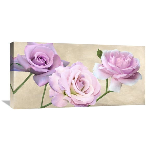 Global Gallery Serena Biffi,'Rose classiche' Stretched Canvas Artwork