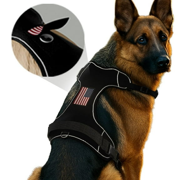 PawPatch Track Dog Harness: Large
