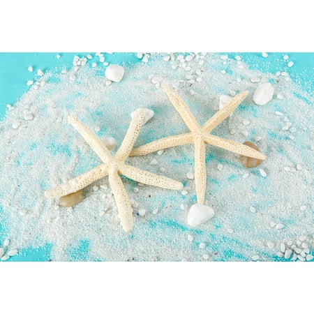 Beach Wedding Decor Red Starfish Painted Starfish Beach Wedding