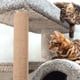 thumbnail image 3 of Rascador de gato de repuesto, poste de yute natural, accesorio para rascar gatos, 3 of 6