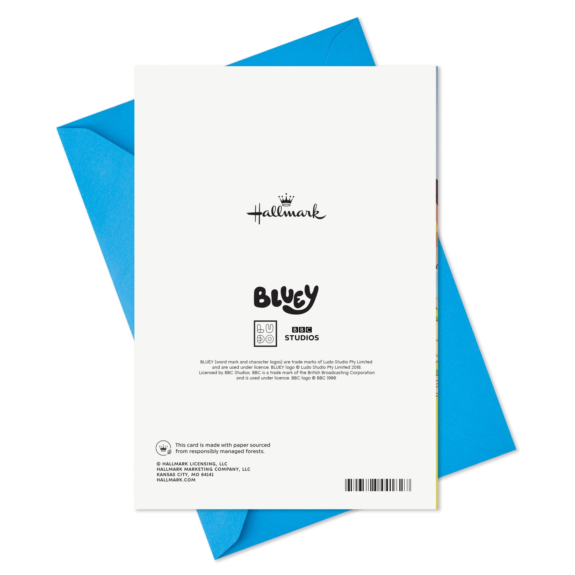 Hallmark Bluey Musical Birthday Card for Kids (It's Your Day)