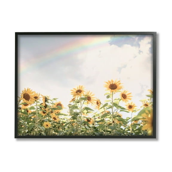 Stupell Industries Rainbow over Sunflowers Botanical & Floral Photography Black Framed Art Print Wall Art, 14 x 11