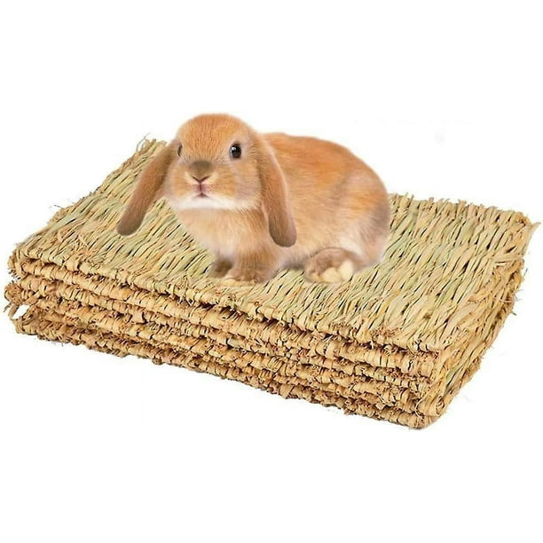 Alfombra De Hierba Natural Para Mascotas - Colchón De Descanso Y Rascador Para Gatos, Conejos Y Perros Pequeños