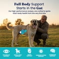 thumbnail image 5 of Solid Gold Hund-N-Flocken Dog Food, Lamb 4lb, 5 of 12