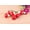 1Pack #254, variant on 50 Pcs Mini Red Mushrooms for Fairy Gardens,Vibrant Dotted Foam Mushroom Decorations for Terrariums,Succulents,and DIY Miniature Landscape Art-2Pack