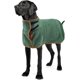 thumbnail image 1 of (S, Verde)Albornoz para perros,Albornoz de microfibra para mascotas,Abrigo refrescante para perros de secado súper rápido que absorbe la humedad para perros grandes y medianos, 1 of 5